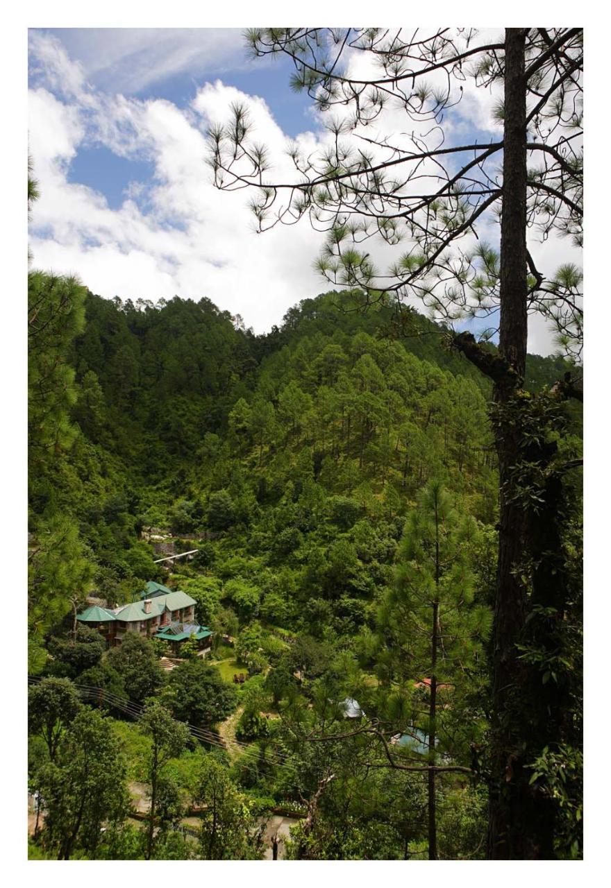 Saffronstays Himalaica, Nainital Bhowali Exterior photo